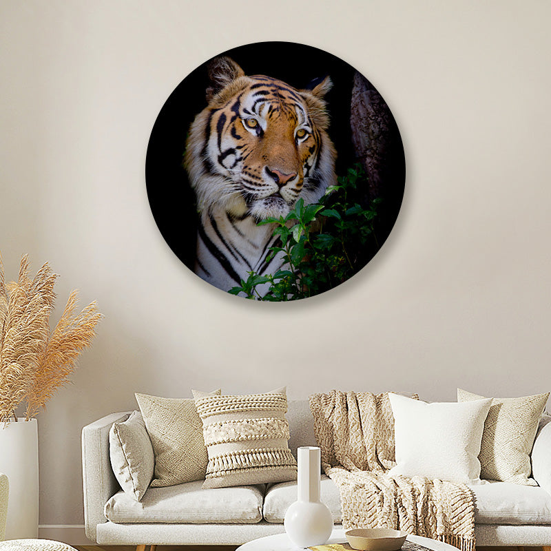 Tijger Cirkel