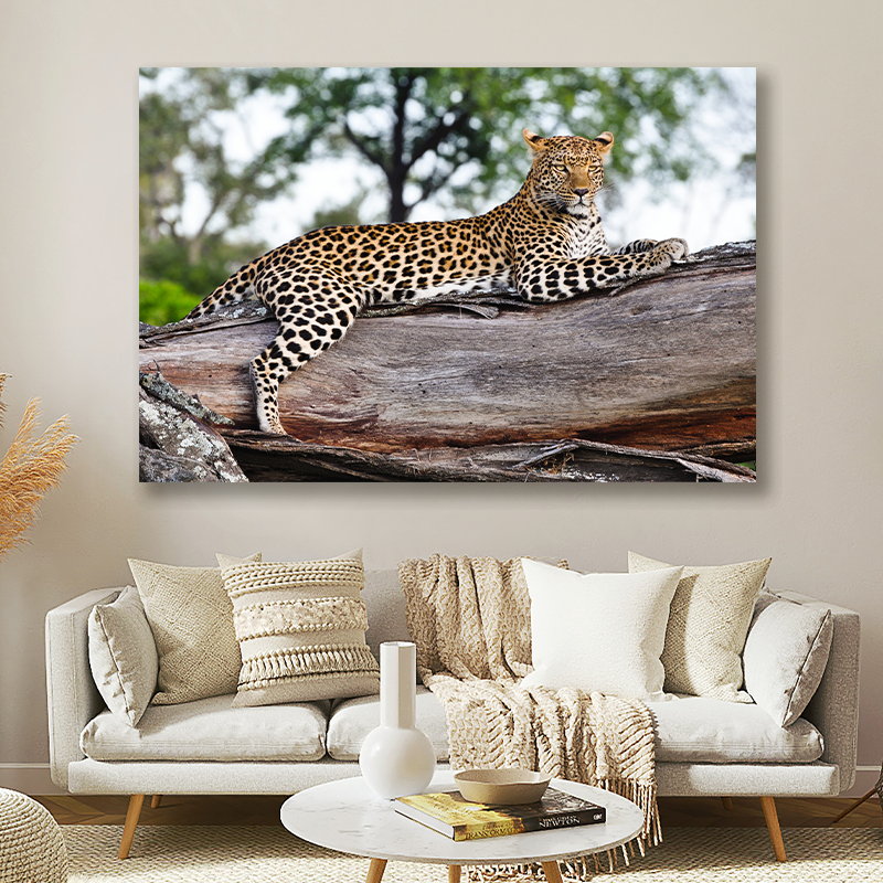 Jachtluipaard op Boomstam