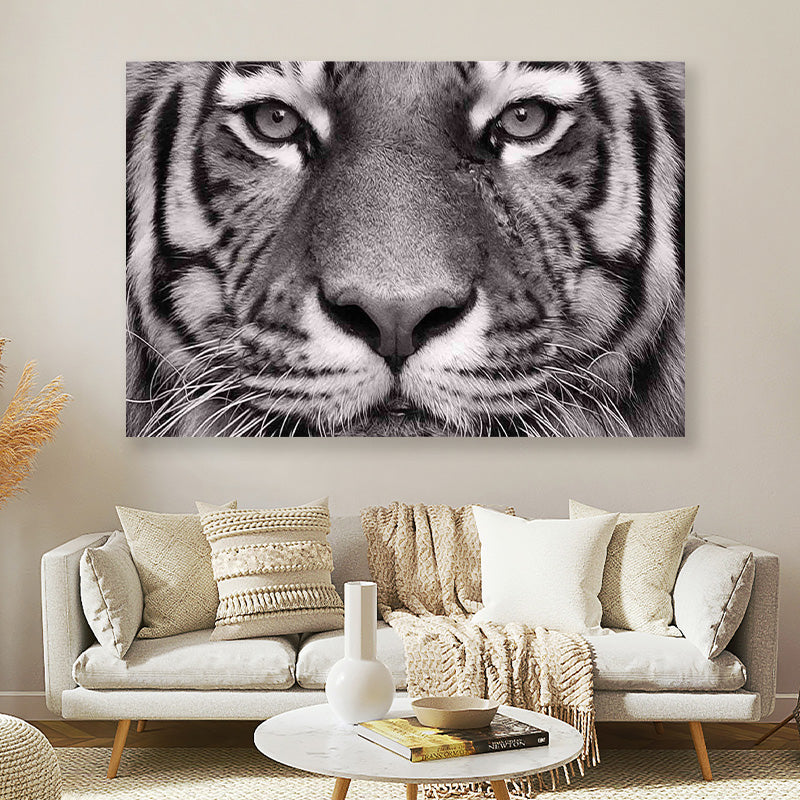 Tijger close up zwart wit