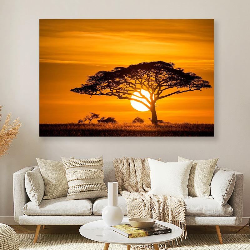 Savanne bij zonsondergang