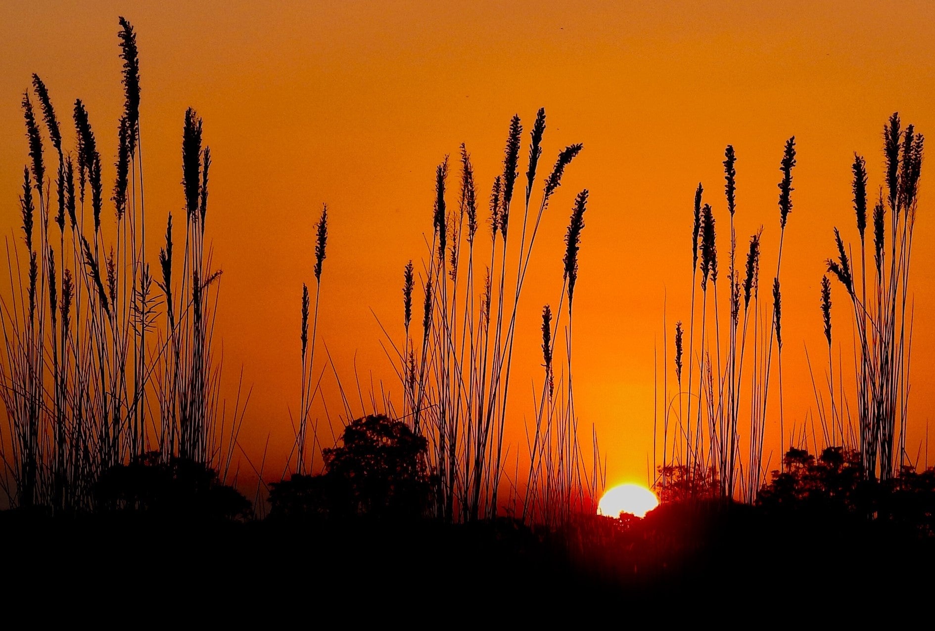 Zonsopkomst