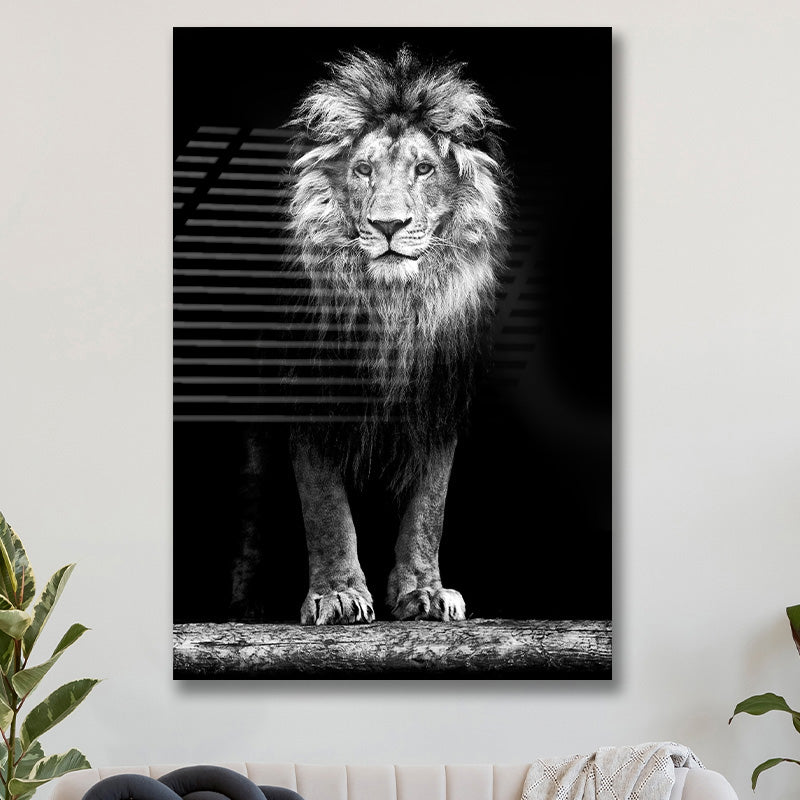 Leeuw staand zwart-wit