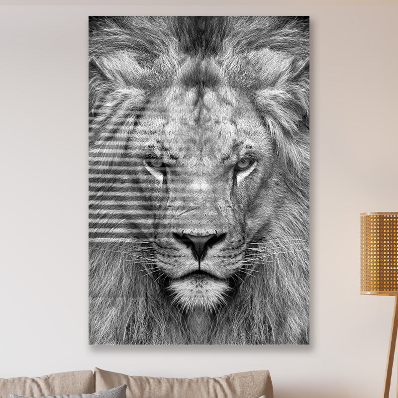 Leeuw close up zwart wit