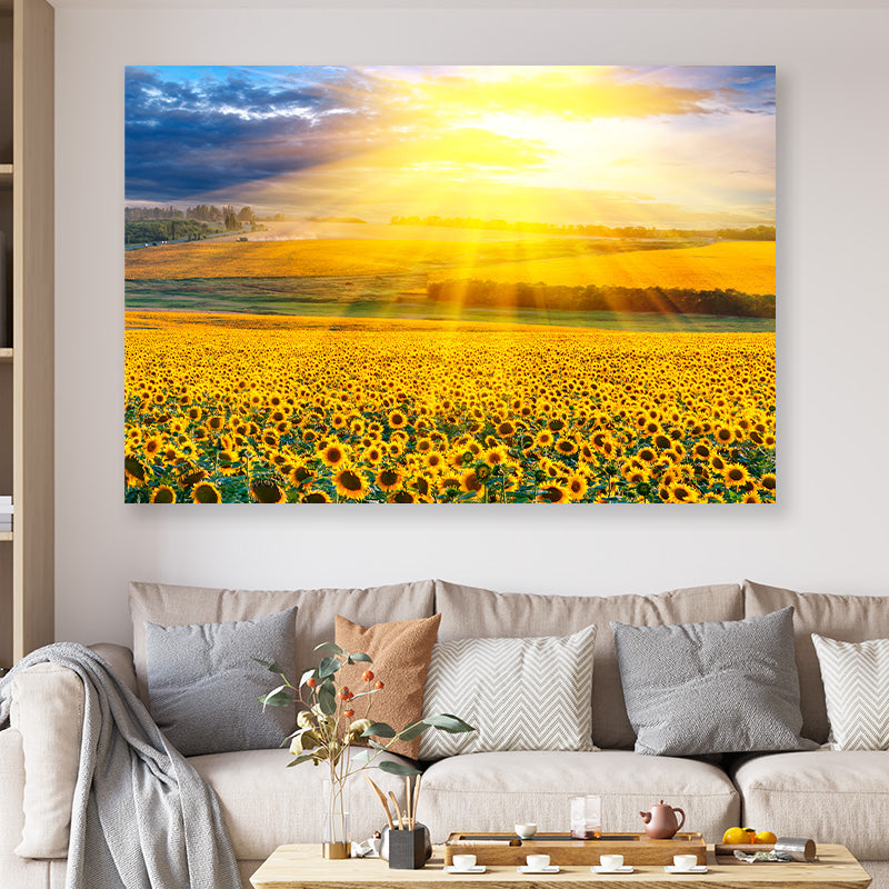 Zonnebloemen