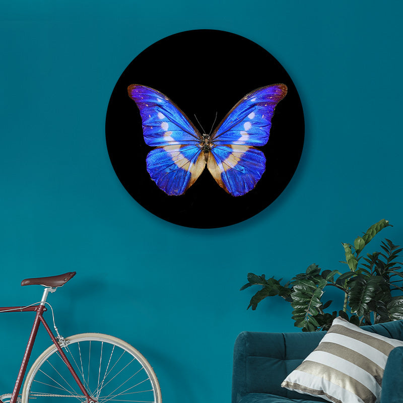 Vlinder Cirkel