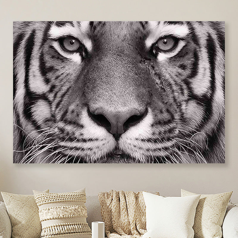 Tijger close up zwart wit