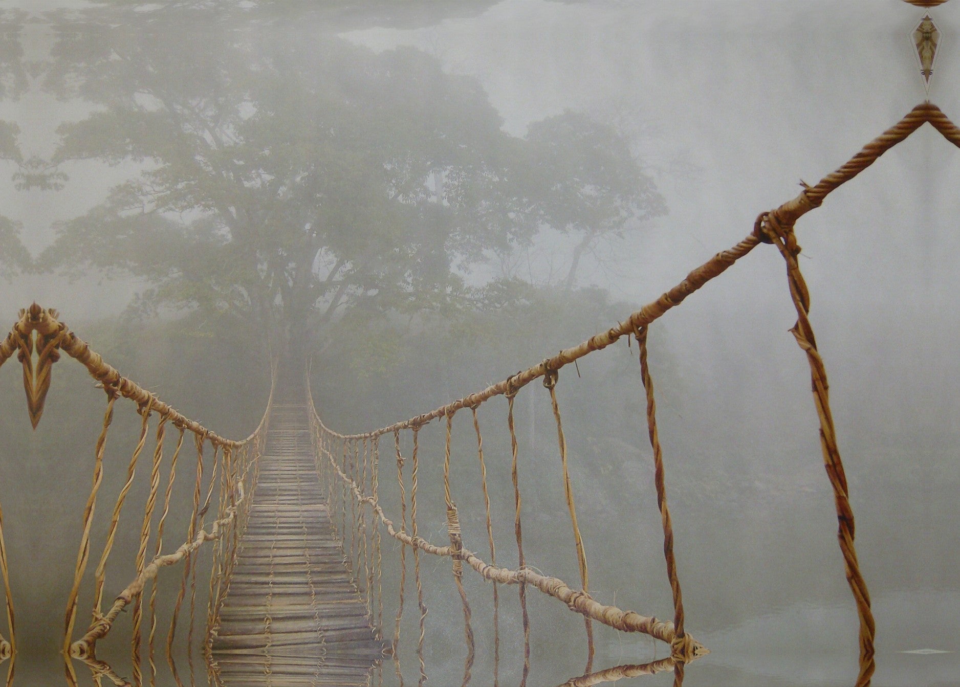 Junglebrug